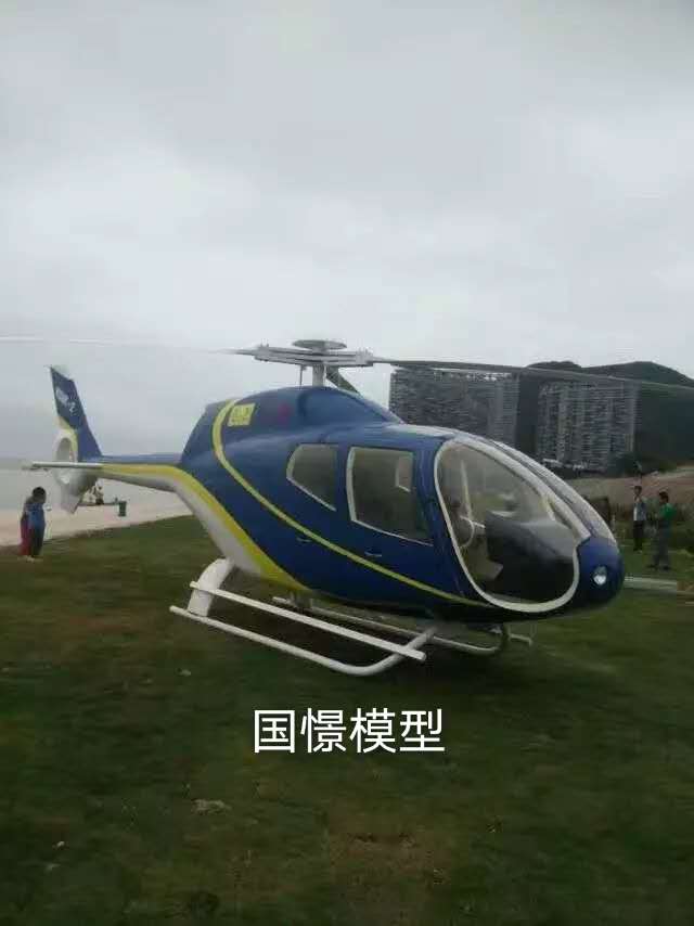 醴陵市飞机模型