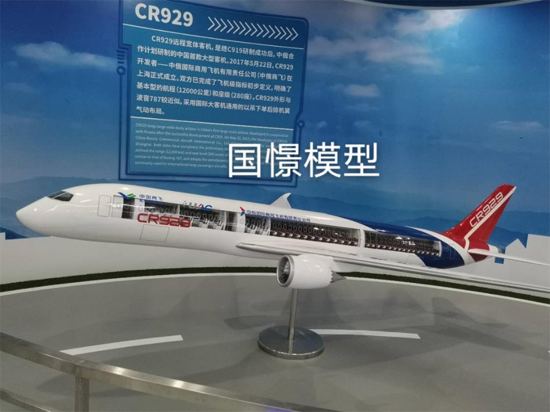 醴陵市飞机模型